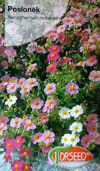 Parastā saulrozīte Posłonek MIX  1 g Torseed
