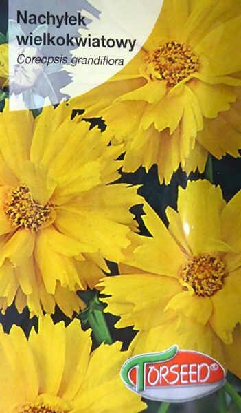 Lielziedu brūnactiņa zeltaini dzeltena 1 g Torseed