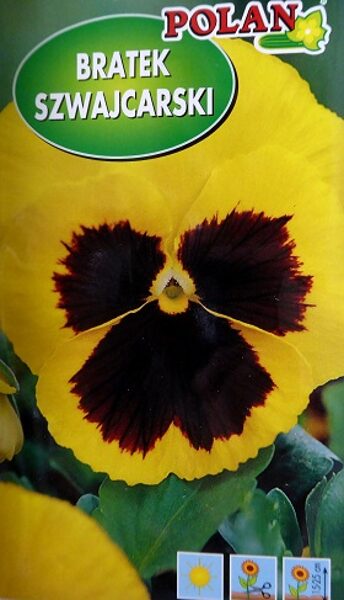 Atraitnītes SZWAJCARSKI dzeltenas ar violetu 500 mg  Polan