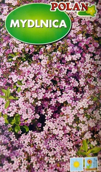 Bazilika ziepjsakne rozā (Mydlnica) 1 g Polan 