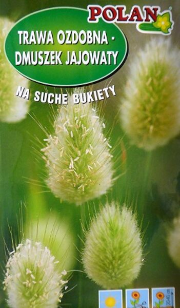 Olveida zaķaste 500 mg Polan