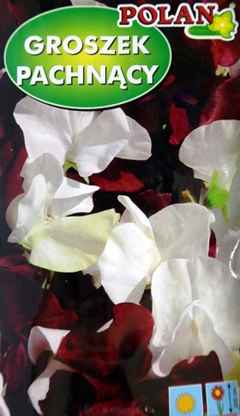 Puķuzirņi smaržīgie Night&Day 2 g Polan