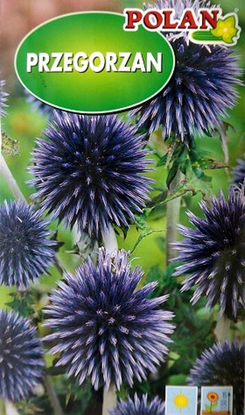 Augstā ežziede 1 g Polan