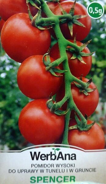 Tomāti Spencer 0.5 g  WerbAna A.P.