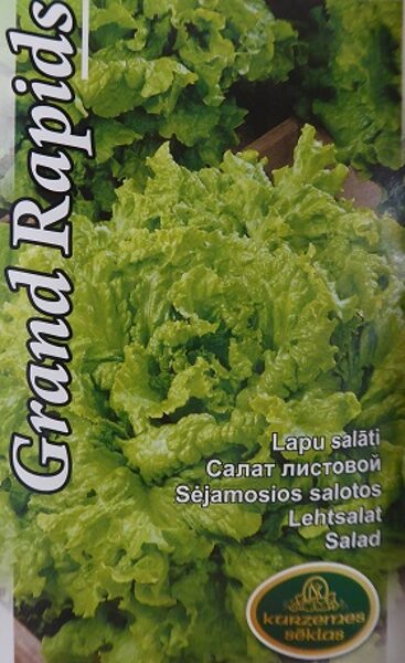 Lapu salāti Grand Rapids 2 g Kurzemes sēklas