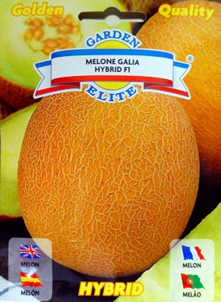 Melone GALIA F1  0.55 g Galassi Sementi