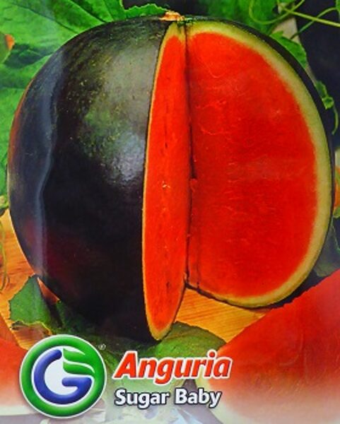 Arbūzs SUGAR BABY 3 g Galassi sementi