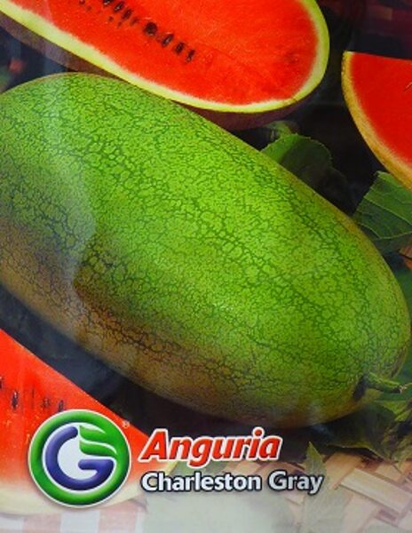 Arbūzs Charleston Gray 3 g Galassi sementi