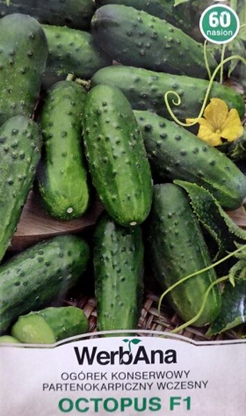 Gurķi OCTOPUS F1 60 gab  WegAna
