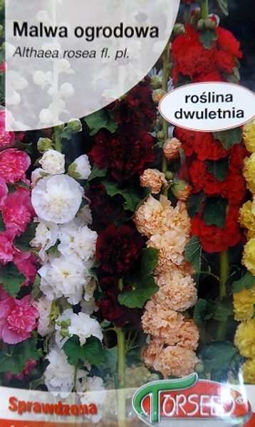 Kāršrozes CHATERS pildītās MIX 1 g Torseed