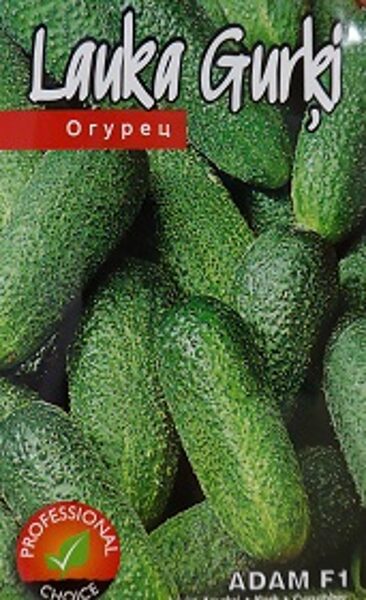 Gurķi ADAM F1 15 gab  Kurzemes Sēklas