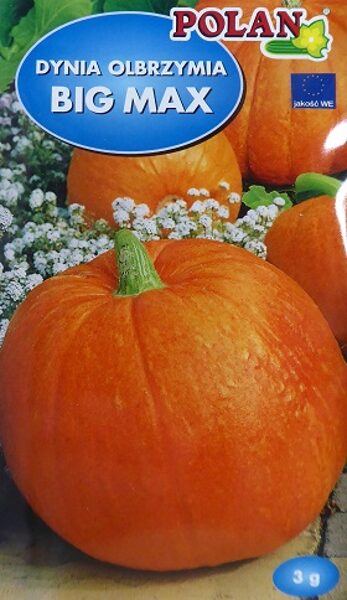 Ķirbji BIG MAX 3 g Polan