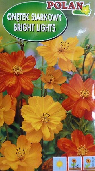 Sērdzeltenās kosmejas Bright Light MIX 1 g Polan