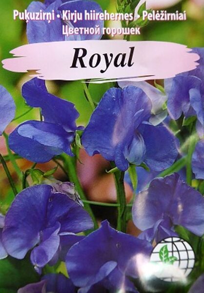Puķuzirņi smaržīgie Royal zili  2 g Agrimatco