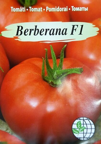 Tomāti BERBERANA F1  7 gab Agrimatco