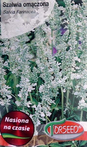 Miltainā salvija Niebieska 0.5 g  Torseed