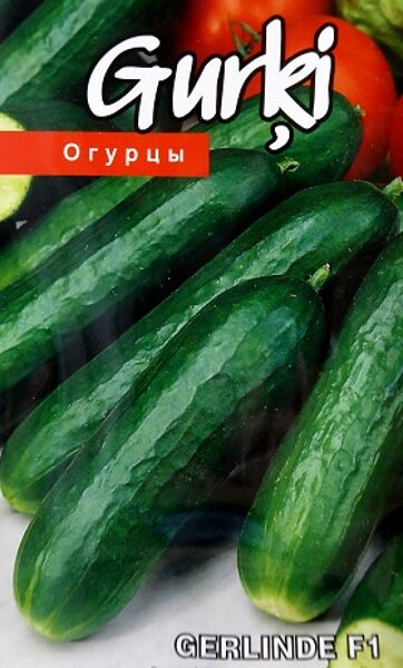 Gurķi Gerlinde F1 7 gab Kurzemes Sēklas A.P.
