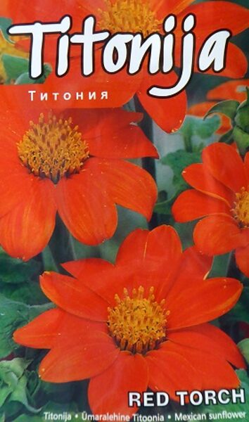 Apaļlapu titonija Red Torch 0.5 g Kurzemes Sēklas