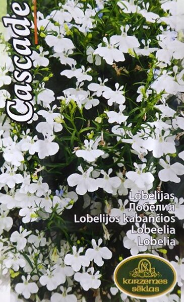 Lobēlijas Cascade baltas 0.1 g Kurzemes Sēklas