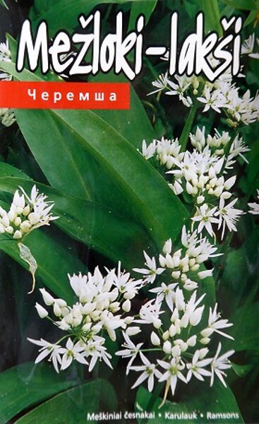 Mežloki-lakši 0.2 g Kurzemes Sēklas A.P.