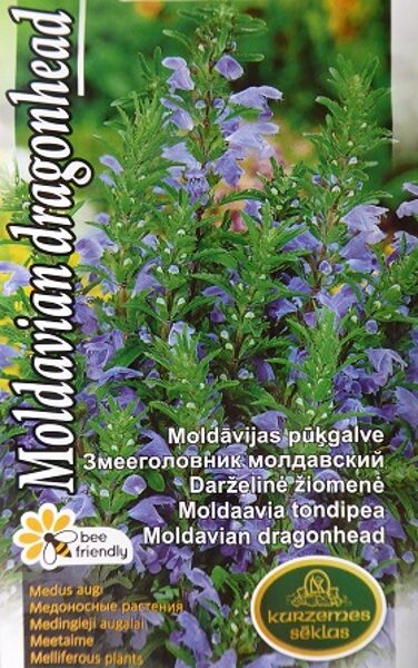 Moldāvijas pūkģalve 0.5 g Kurzemes Sēklas