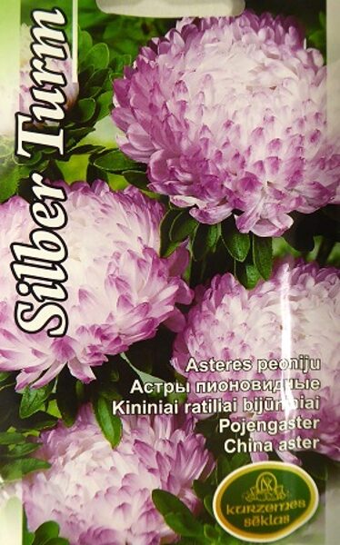 Asteres ķīnas Silber Turm 0.5 g Kurzemes Sēklas