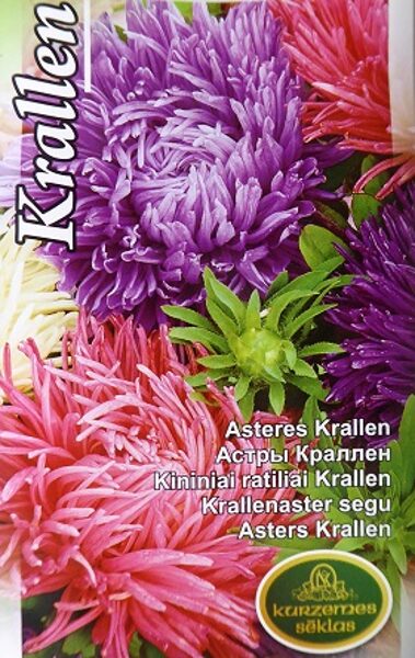 Asteres ķīnas Krallen MIX 0.5 g Kurzemes Sēklas