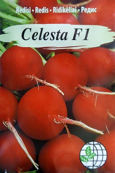 Redīsi CELESTA F1 2 g Agrimatco