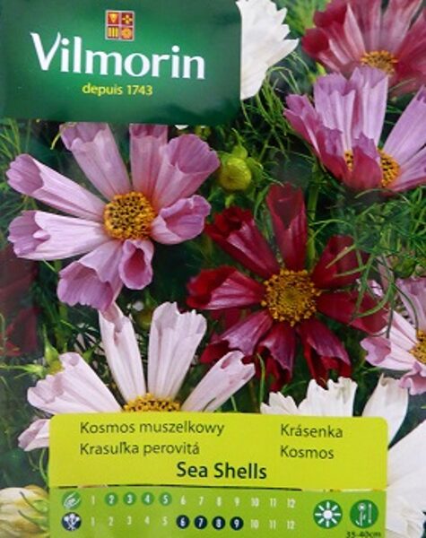Divplūksnu kosmejas klajās Sea Shells MIX 200 mg Vilmorin