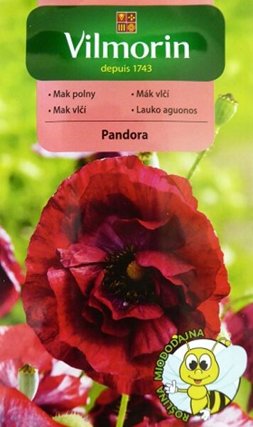 Zīda magone pildīta Pandora 100 mg Vilmorin