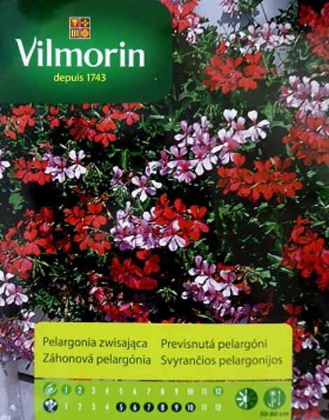 Nokarenā pelargonija MIX 5 gab Vilmorin