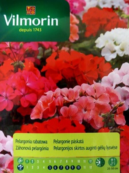 Zonālā pelargonija MIX 10 gab Vilmorin