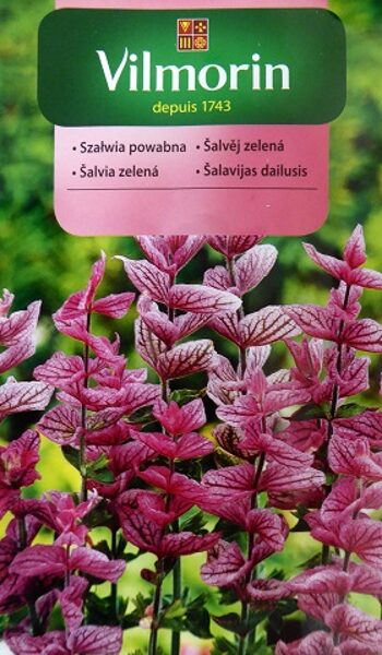 Raibziedu salvija rozā 500 mg Vilmorin A.P.