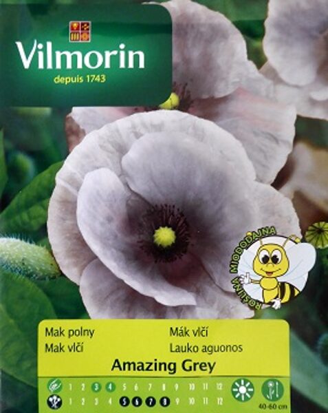 Zīda magone Amazing Grey 100 g Vilmorin