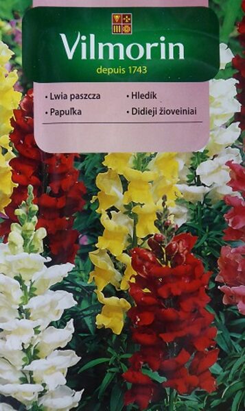 Vidējās lauvmutītes MIX 1 g Vilmorin