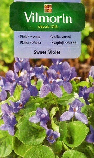 Smaržīgā vijolīte Sweet Violet 300 mg Vilmorin A.P.