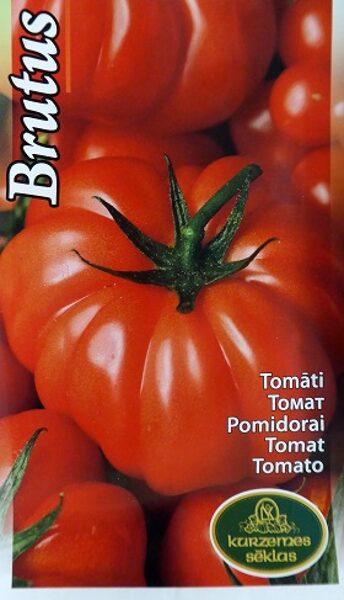 Tomāti augstie BRUTUS 0.2 g Kurzemes Sēklas A.P.