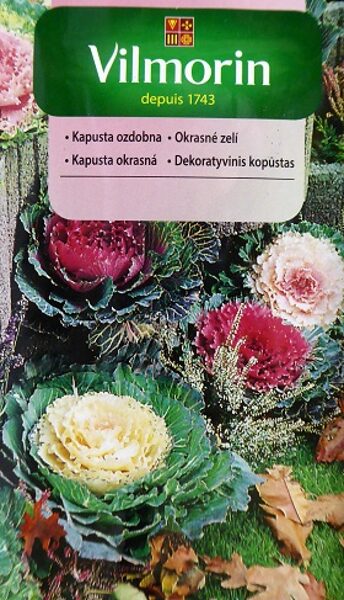 Dekoratīvais kāposts MIX 100 mg Vilmorin