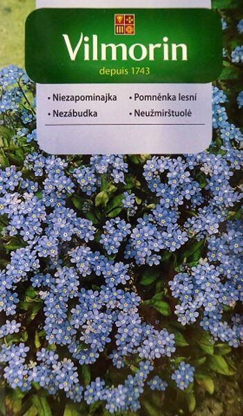 Meža neaizmirstulīte debeszila 500 mg Vilmorin