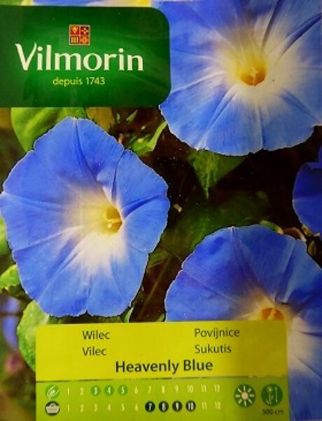 Ipomeja Heavenly Blue 1 g Vilmorin A.P.