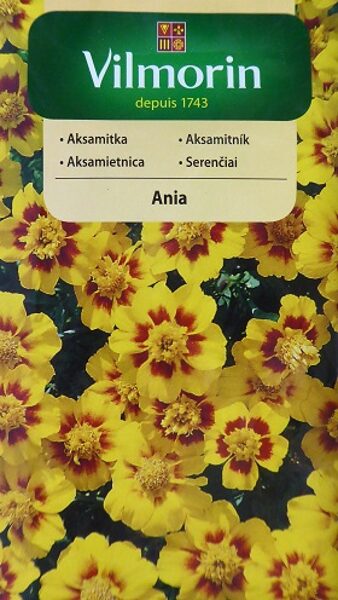 Samtenes zemās Ania 1 g Vilmorin