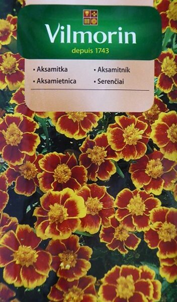 Samtenes zemās Eliza 1 g Vilmorin