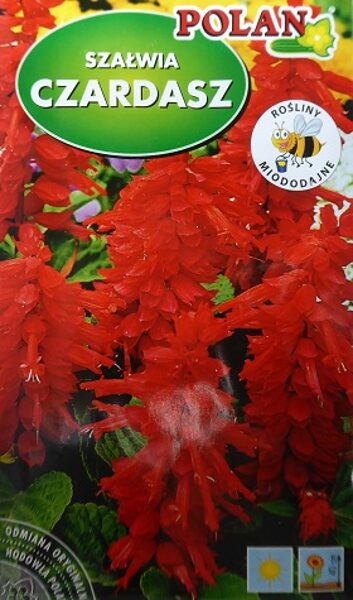 Spilgtā salvija Czardasz 500 mg Polan