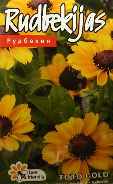 Pūkainā rudbekija zemā Toto Gold  10 gab Kurzemes Sēklas