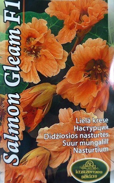 Krese lielā Salmon Gleam F1 Kurzemes Sēklas