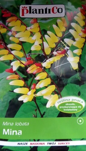 Lēverainā ipomeja Mina 0.5 g PlantiCo