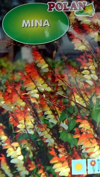 Lēverainā ipomeja Mina 500 mg Polan