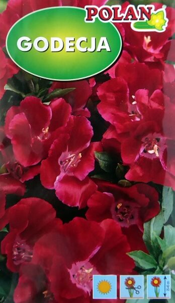 Lielziedu godēcija karmīnsarkana 1 g Polan