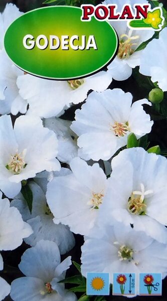 Lielziedu godēcija balta 1 g Polan