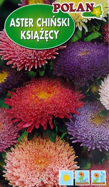 Asteres ķīnas princešu  MIX 1 g Polan